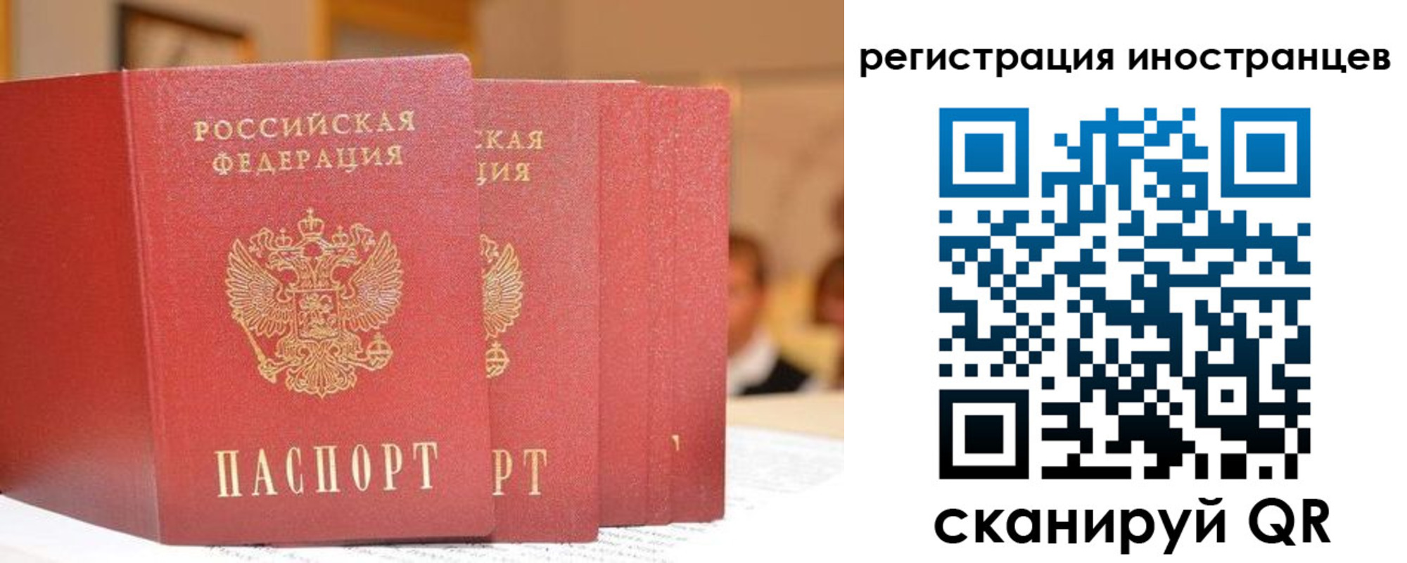 где прописаться в Амурской области